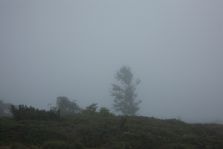 _MG_4674.jpg