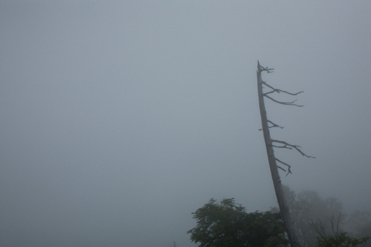 _MG_4677.jpg