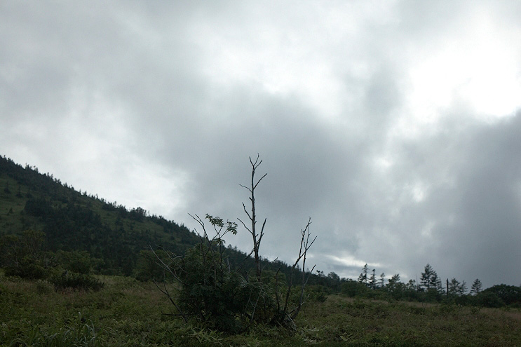 _MG_4678.jpg
