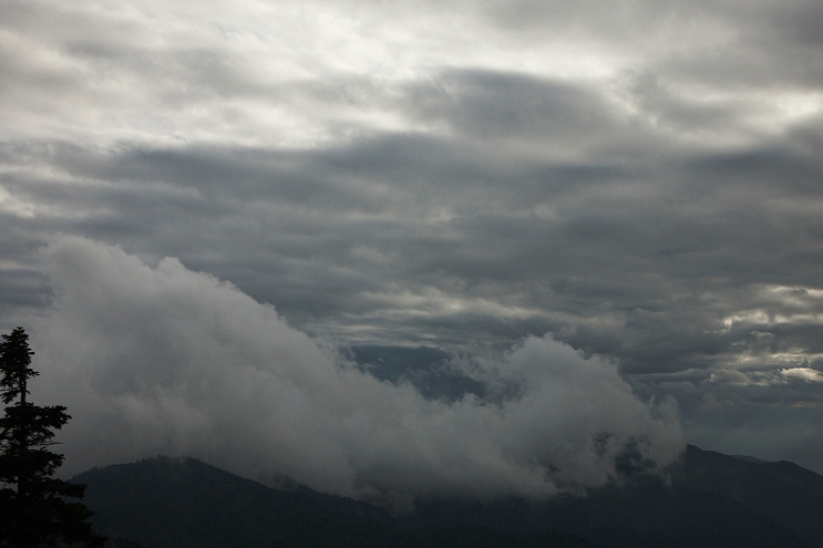 _MG_4686.jpg