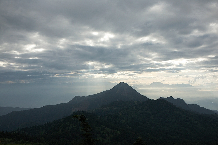 _MG_4687.jpg
