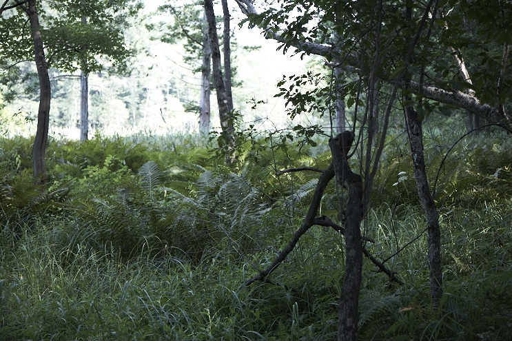 _MG_4749.jpg