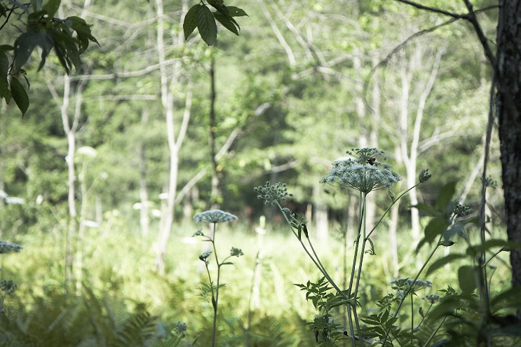 _MG_4752.jpg