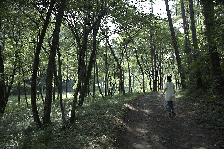 _MG_4768.jpg
