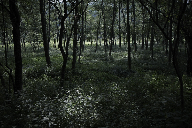 _MG_4784.jpg